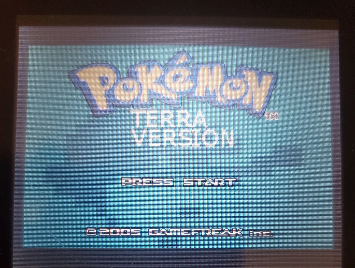 Pokemon Terra Ruby GBA ROM Hack Video Game Custom Gameboy Advance