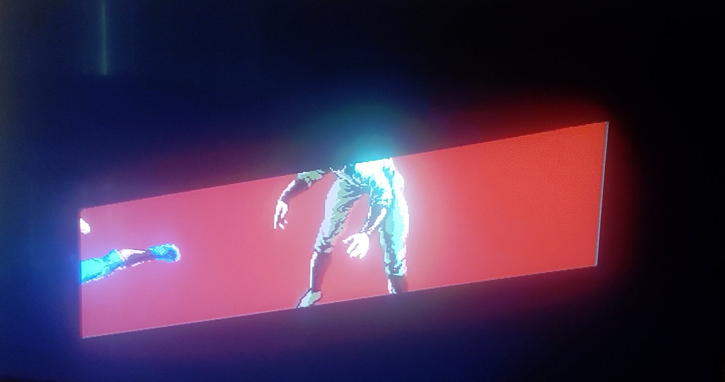 Ninja Gaiden Sega Genesis Mega Drive Video Game Cartridge