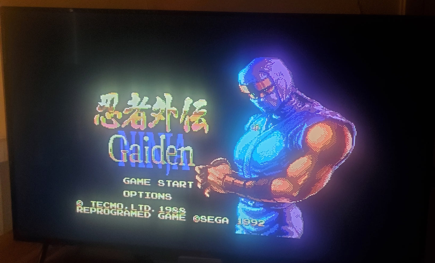 Ninja Gaiden Sega Genesis Mega Drive Video Game Cartridge