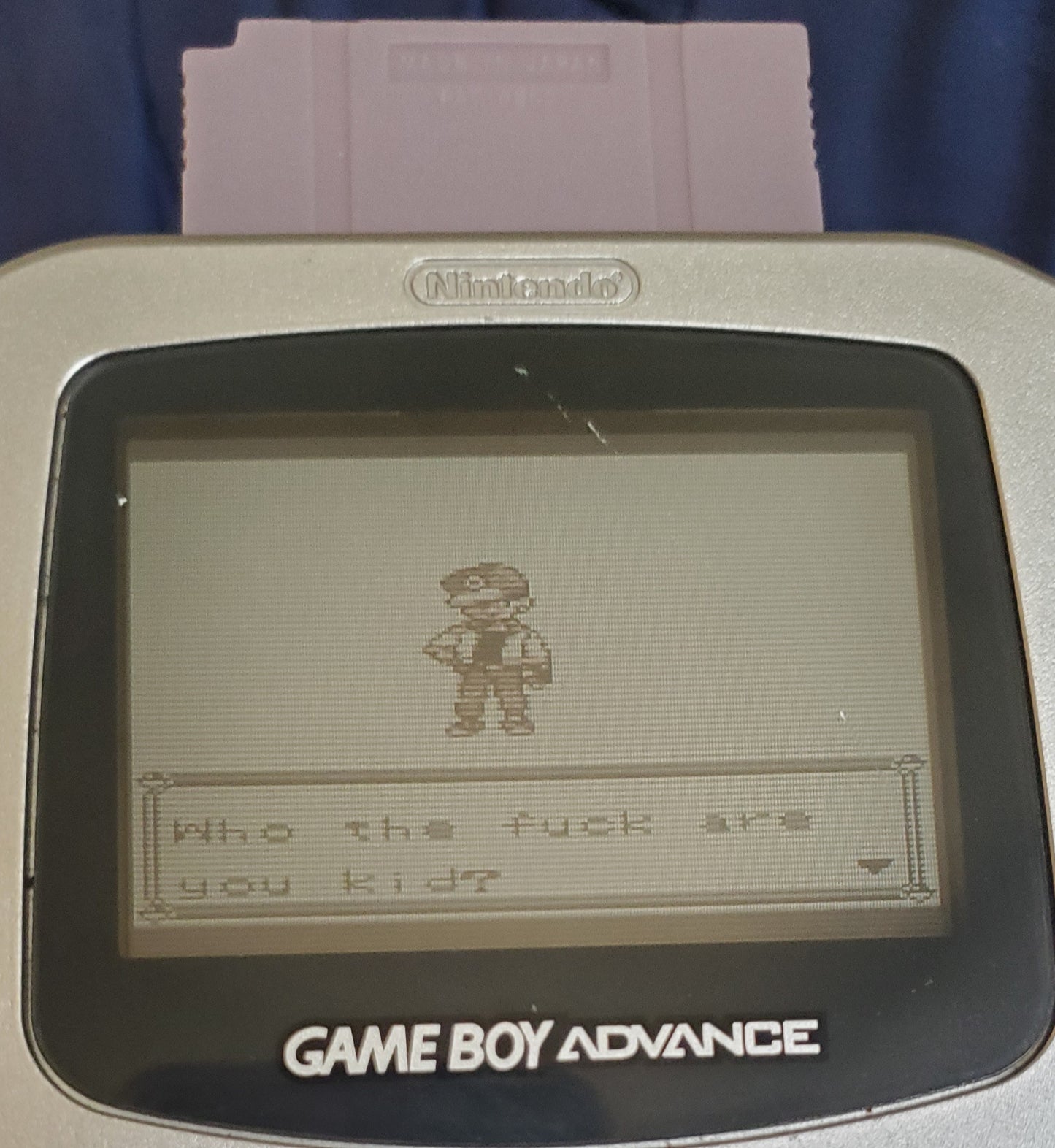 Pokemon Cock GBC ROM Hack Video Game Custom Gameboy Color