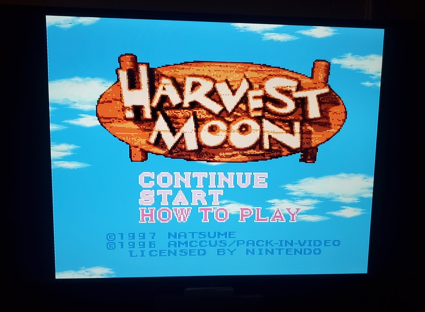 Harvest Moon SNES Video Game Cartridge Super Nintendo