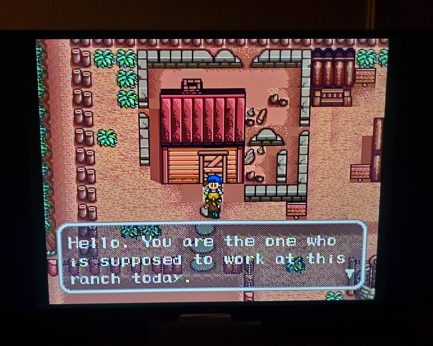 Harvest Moon SNES Video Game Cartridge Super Nintendo