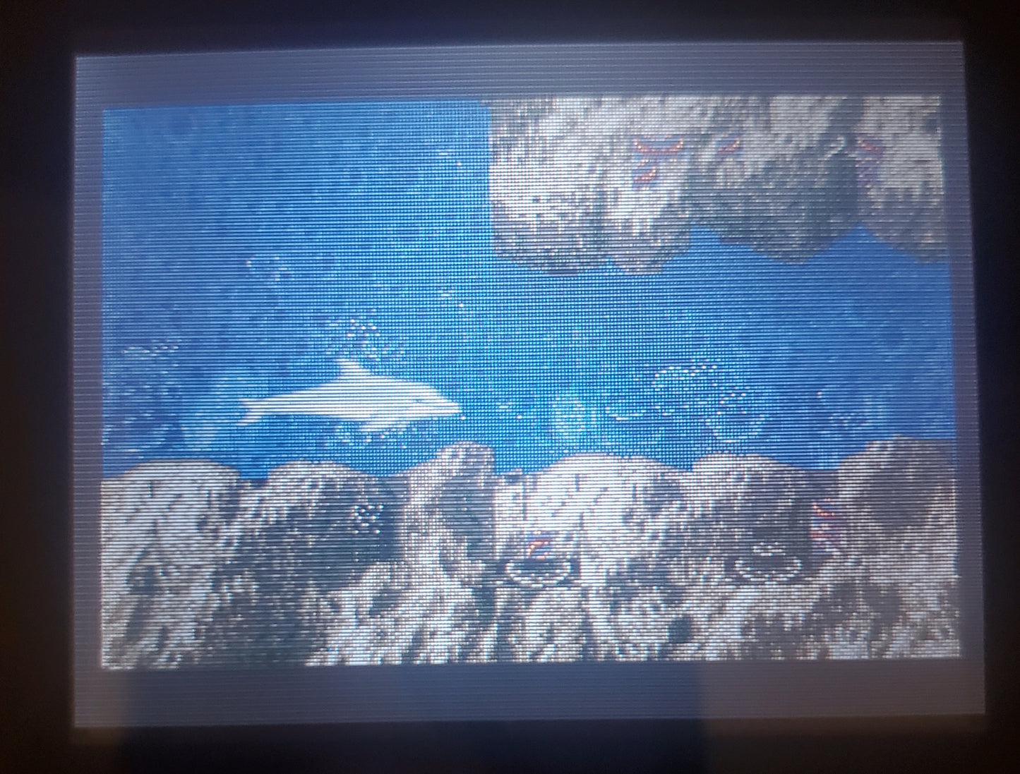 Sega Smash Pack GBA Video Game Cartridge Nintendo Game Boy Advance