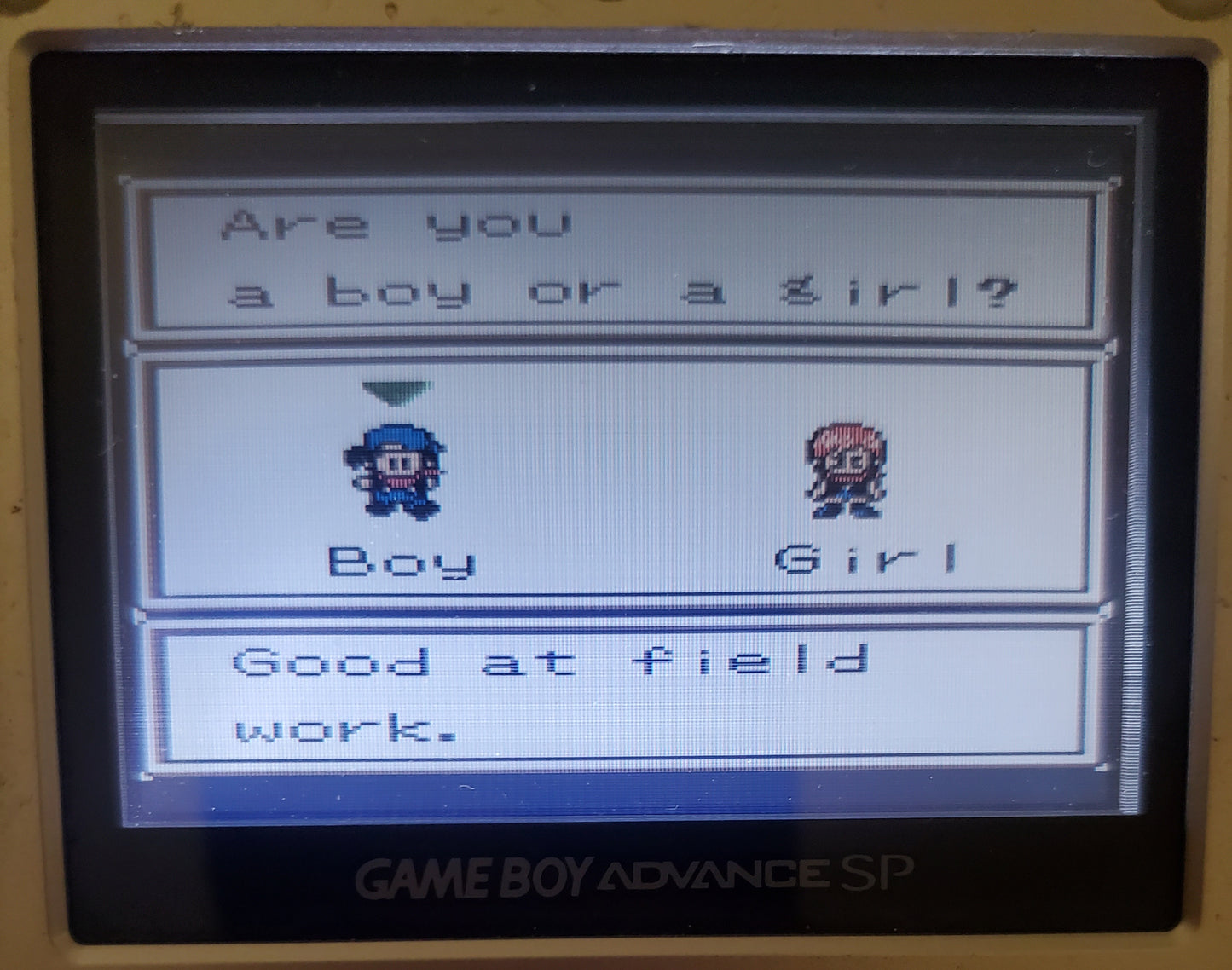 Harvest Moon 3 GBC Gameboy Color Video Game Boy