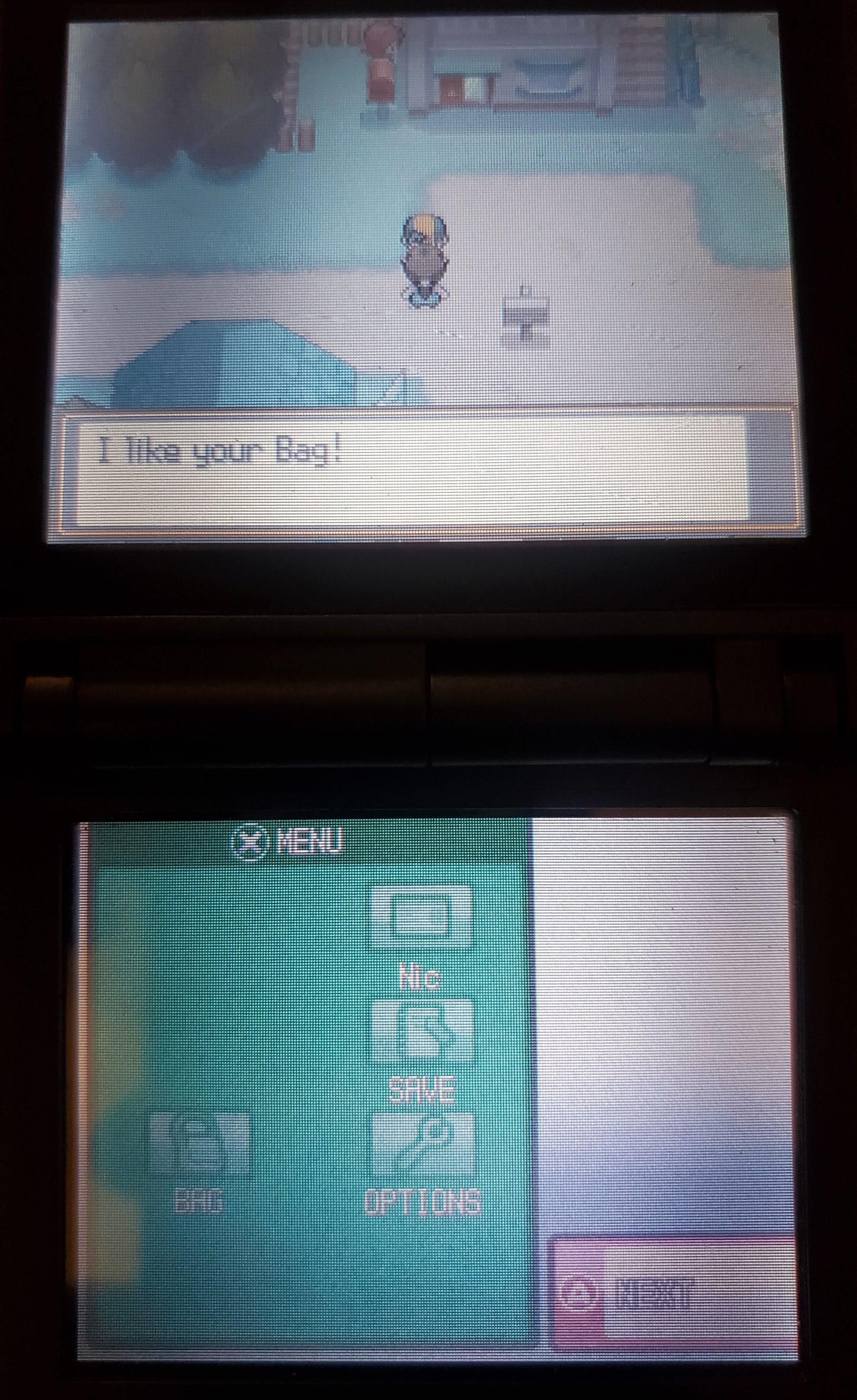 Pokemon Pure Heart Nintendo DS Custom ROM Hack Video Game Cartridge