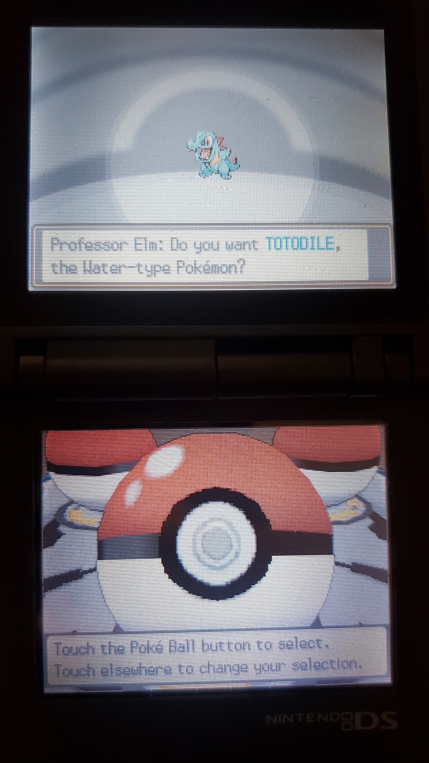 Pokemon True Soul Nintendo DS Custom ROM Hack Video Game Cartridge