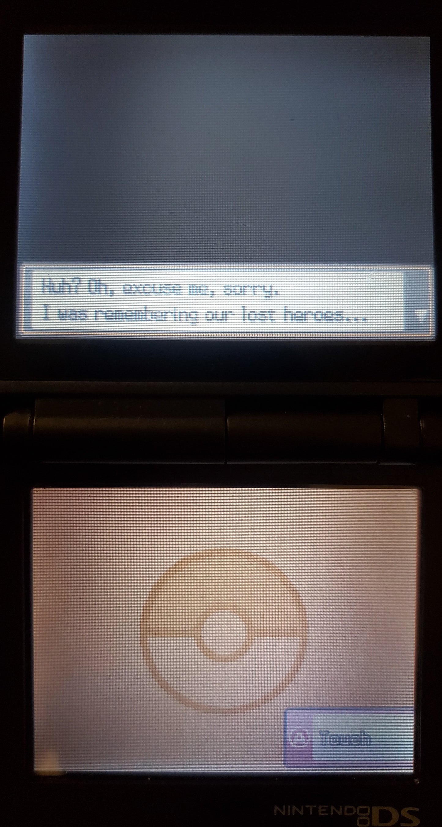 Pokemon GarbageGold Nintendo DS Custom ROM Hack Video Game Cartridge