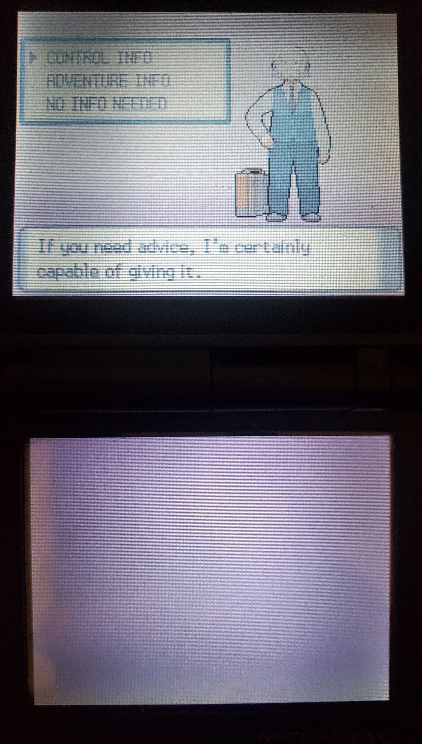 Pokemon SlotMod Pearl Nintendo DS Custom ROM Hack Video Game Cartridge