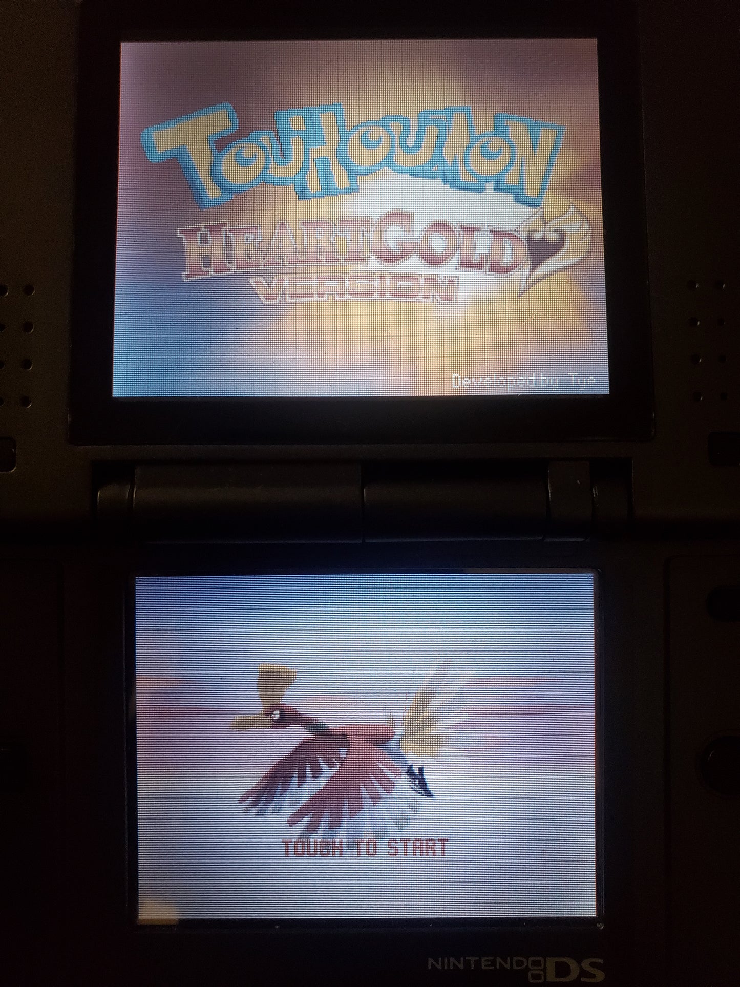 Pokemon Touhoumon HeartGold Nintendo DS Custom ROM Hack Video Game