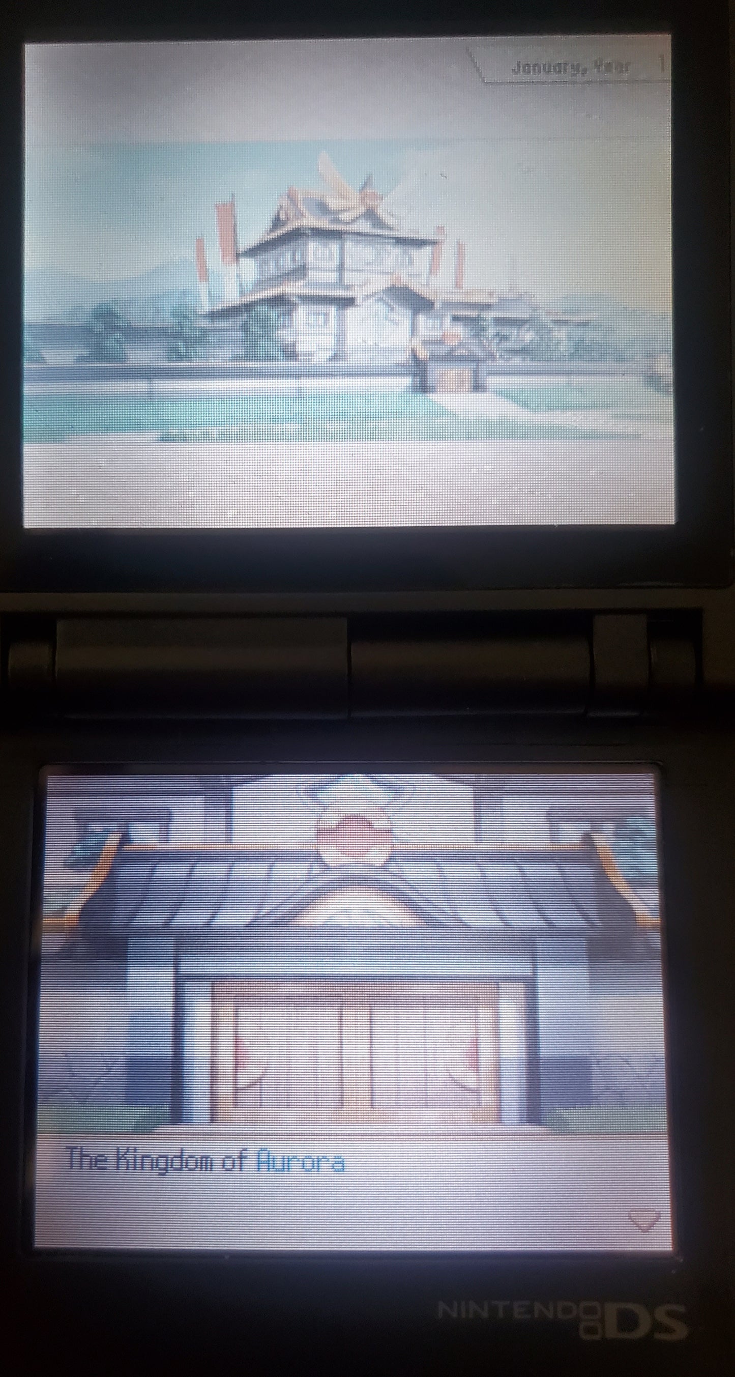 Pokemon Conquest Video Game Nintendo DS 2012