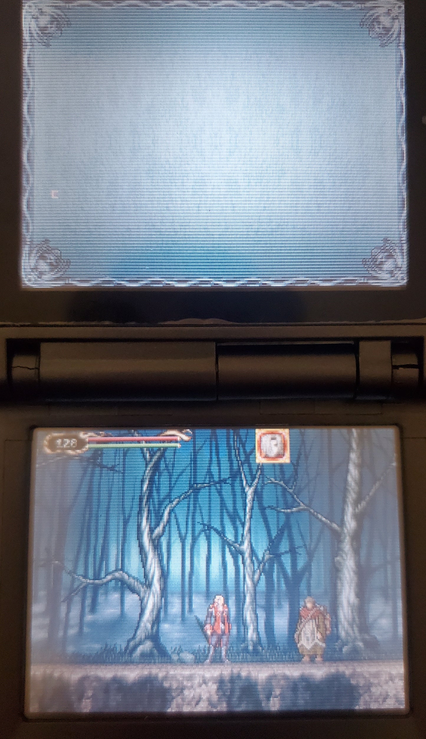 Castlevania Portrait of Ruin Video Game Nintendo DS