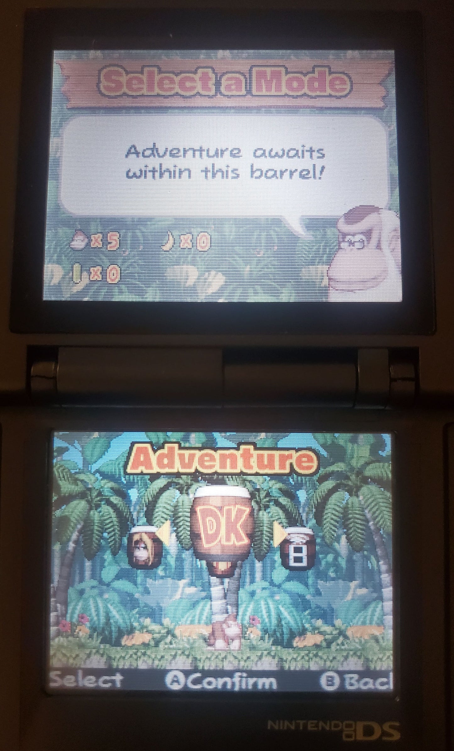 DK Jungle Climber Video Game Nintendo DS