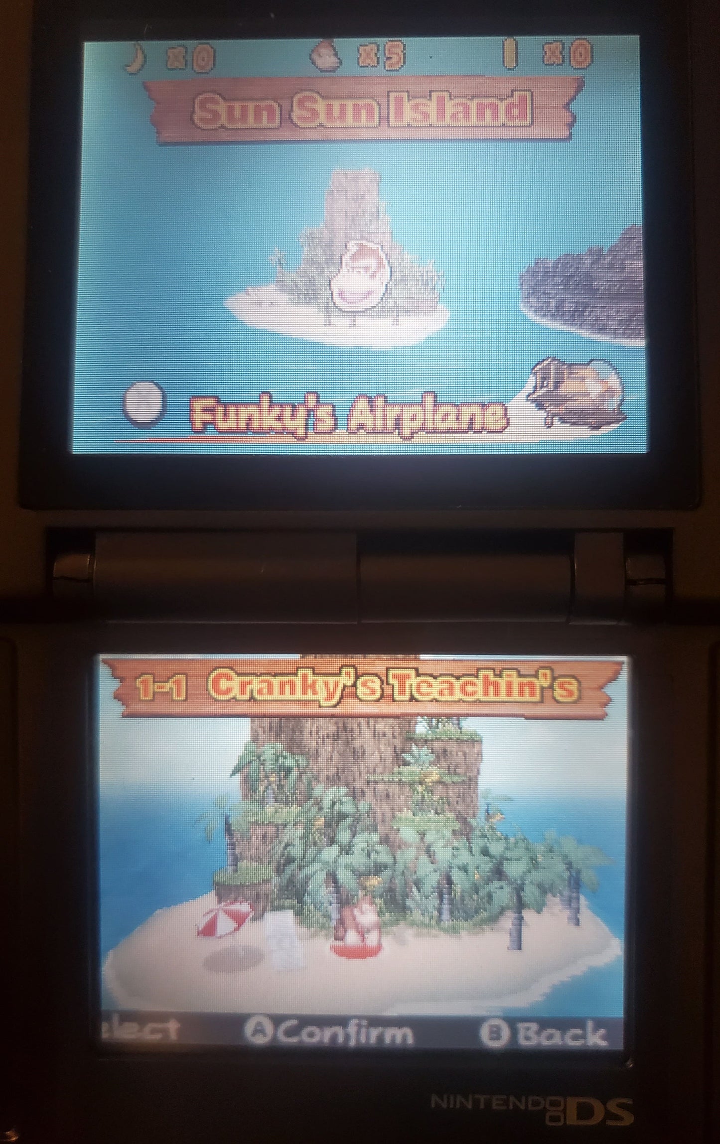 DK Jungle Climber Video Game Nintendo DS