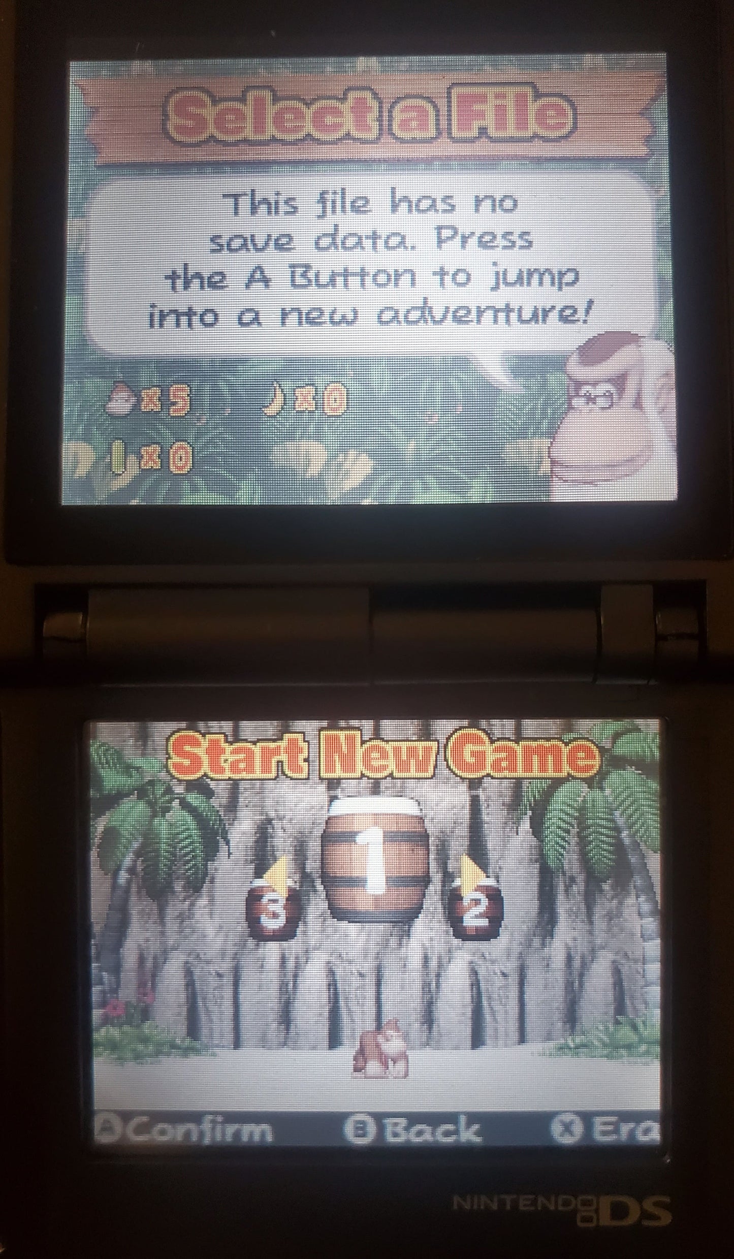 DK Jungle Climber Video Game Nintendo DS