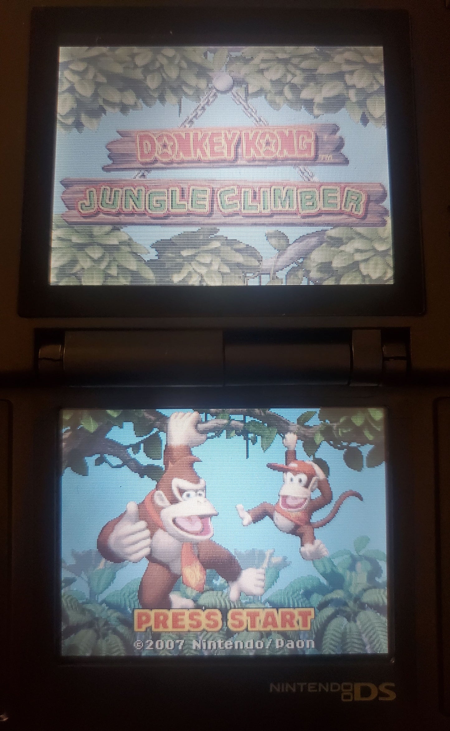 DK Jungle Climber Video Game Nintendo DS