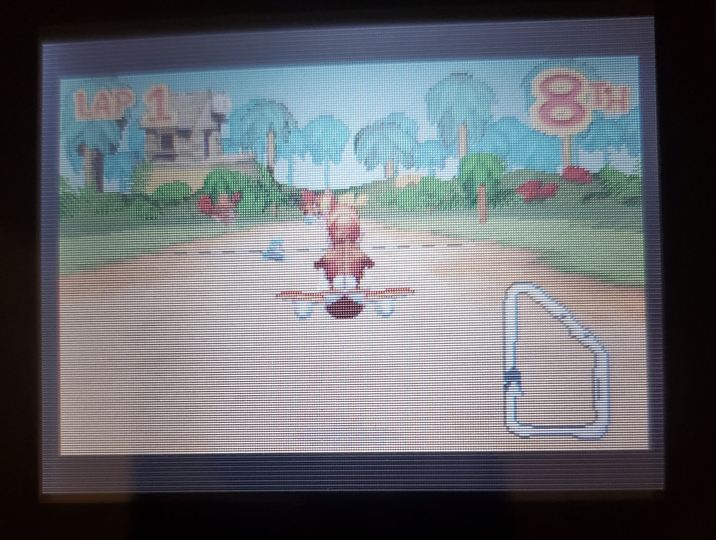 Diddy Kong Pilot GBA Video Game Boy Advance Nintendo