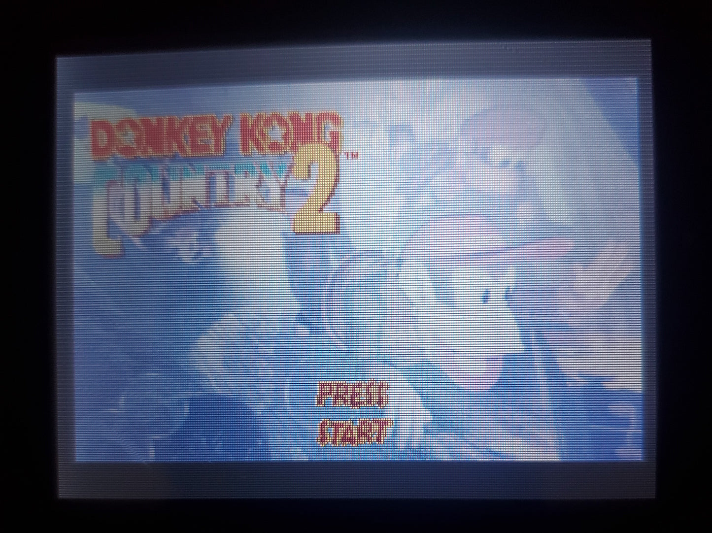 Donkey Kong Country 2 GBA Video Game Nintendo Game Boy Advance 2004
