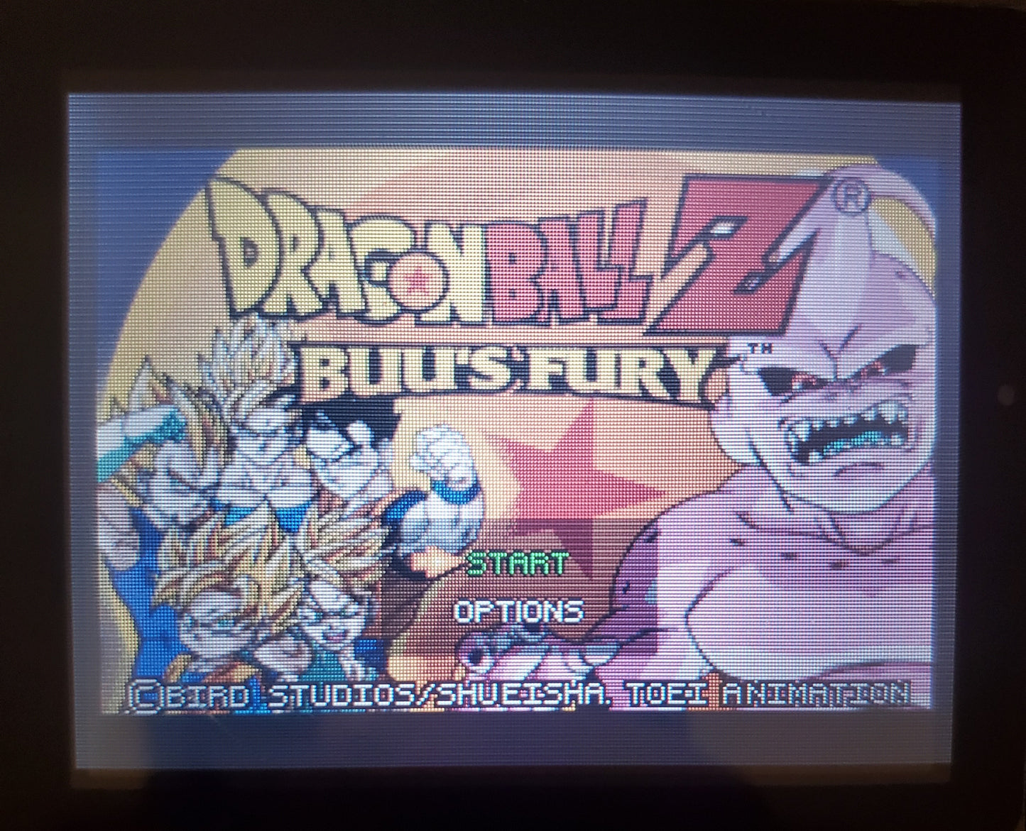 Dragonball Z Buu's Fury GBA Video Game Boy Advance 2004 DBZ