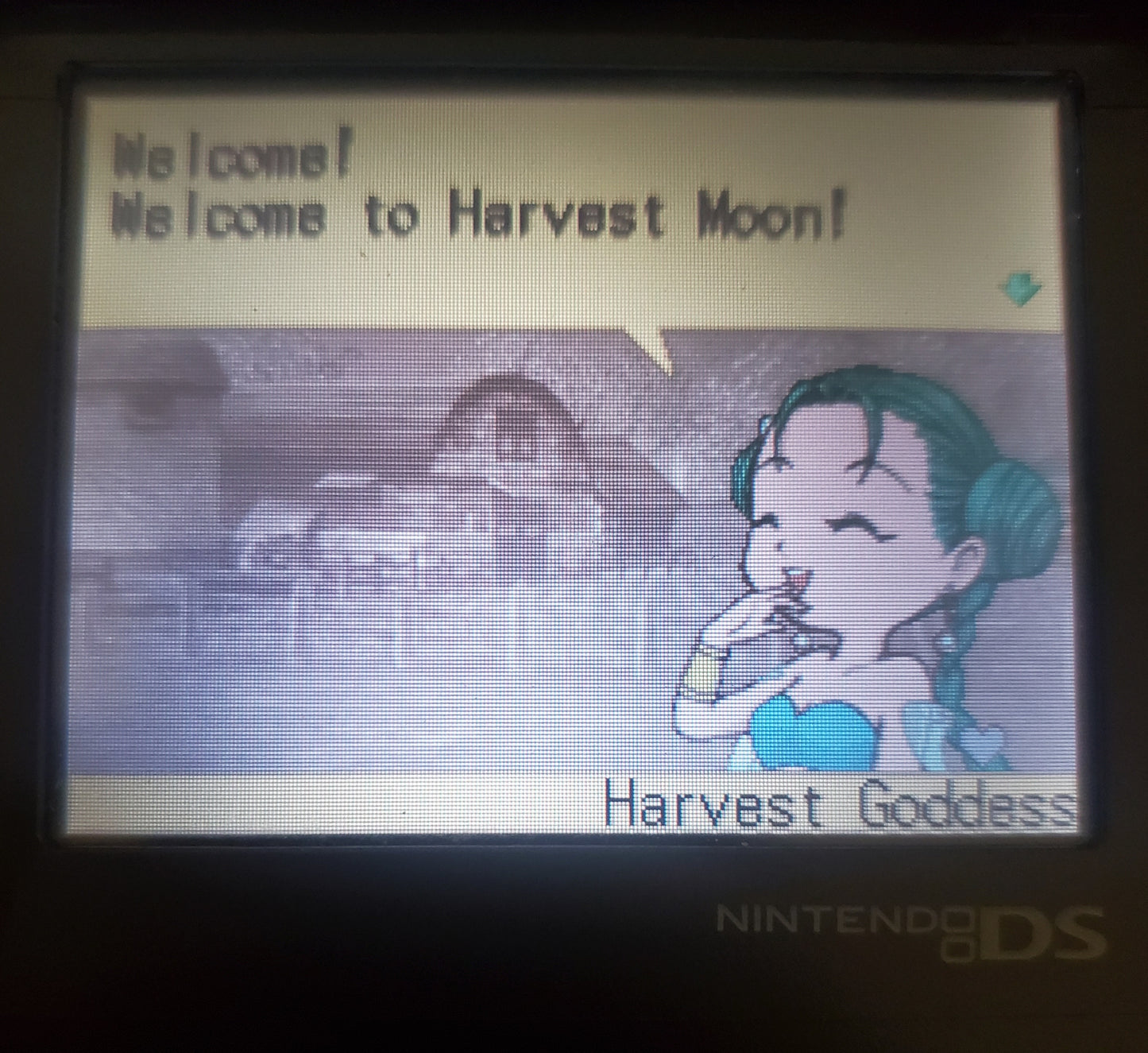 Harvest Moon DS Video Game Nintendo DS