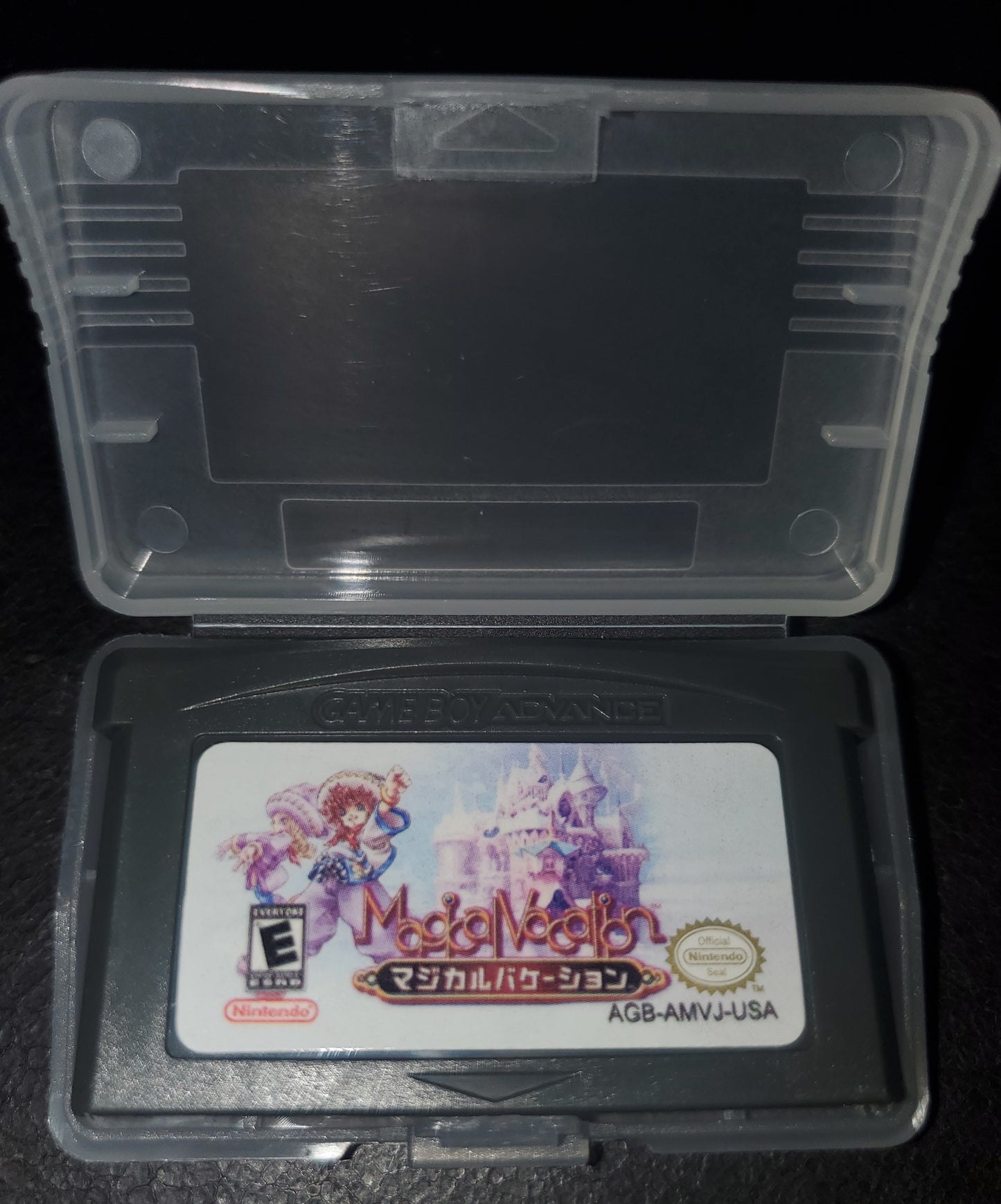 GBA Video Games Unique Rare Nintendo Game Boy Advance