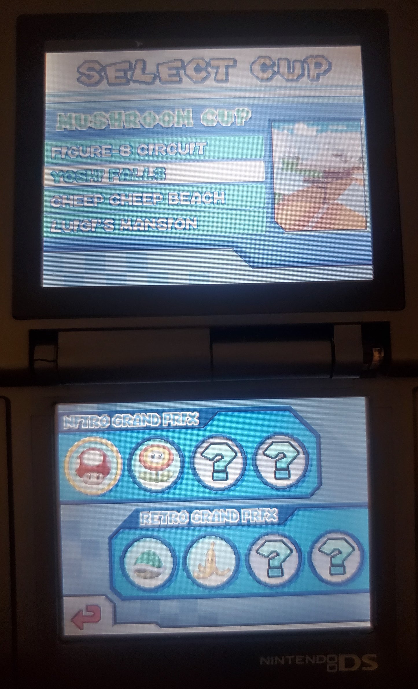 Mario Kart DS Video Game Nintendo DS