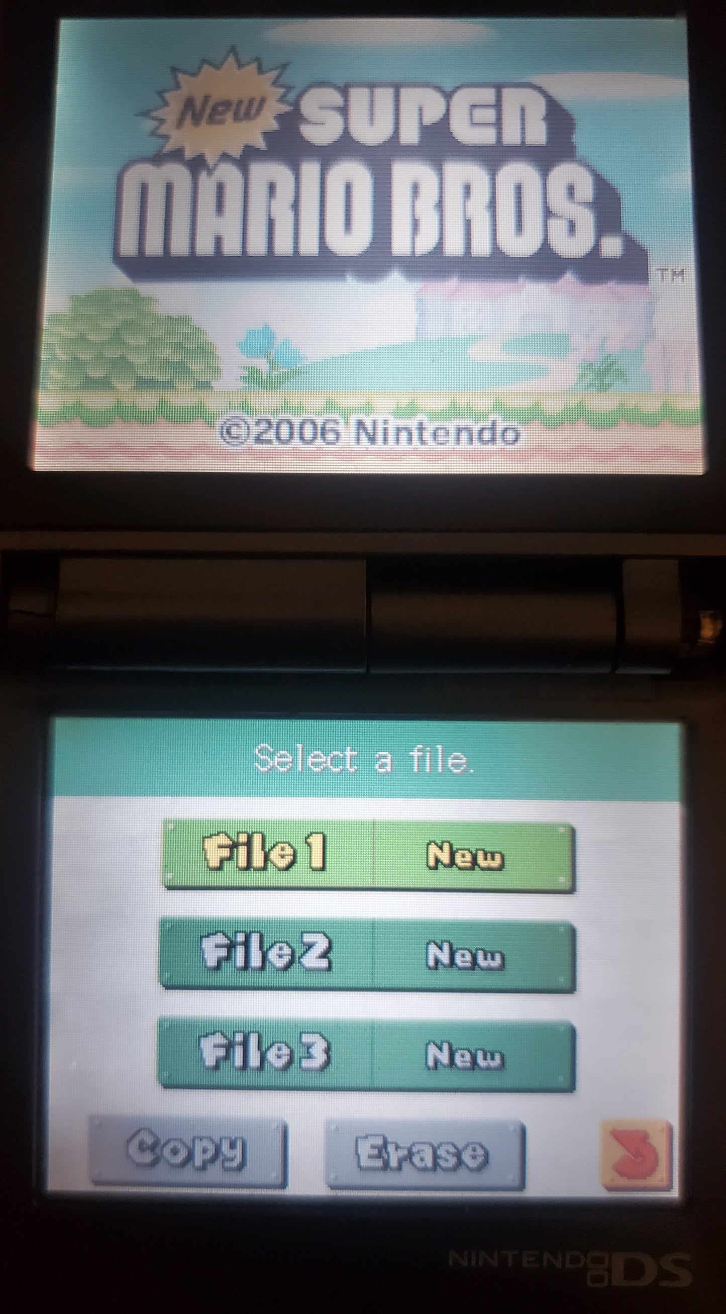 New Super Mario Bros Video Game Nintendo DS