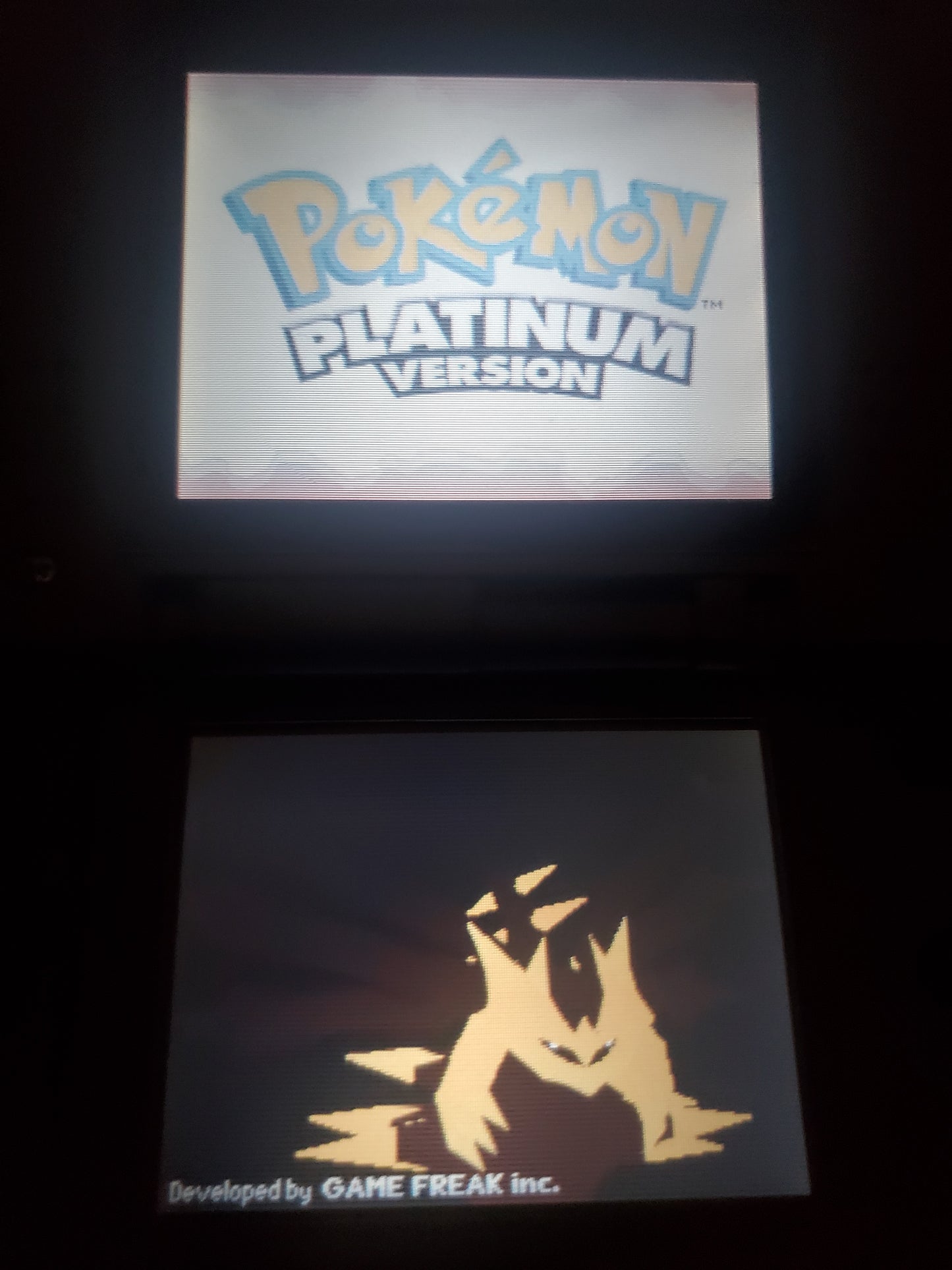 Pokemon Platinum Video Game Nintendo DS