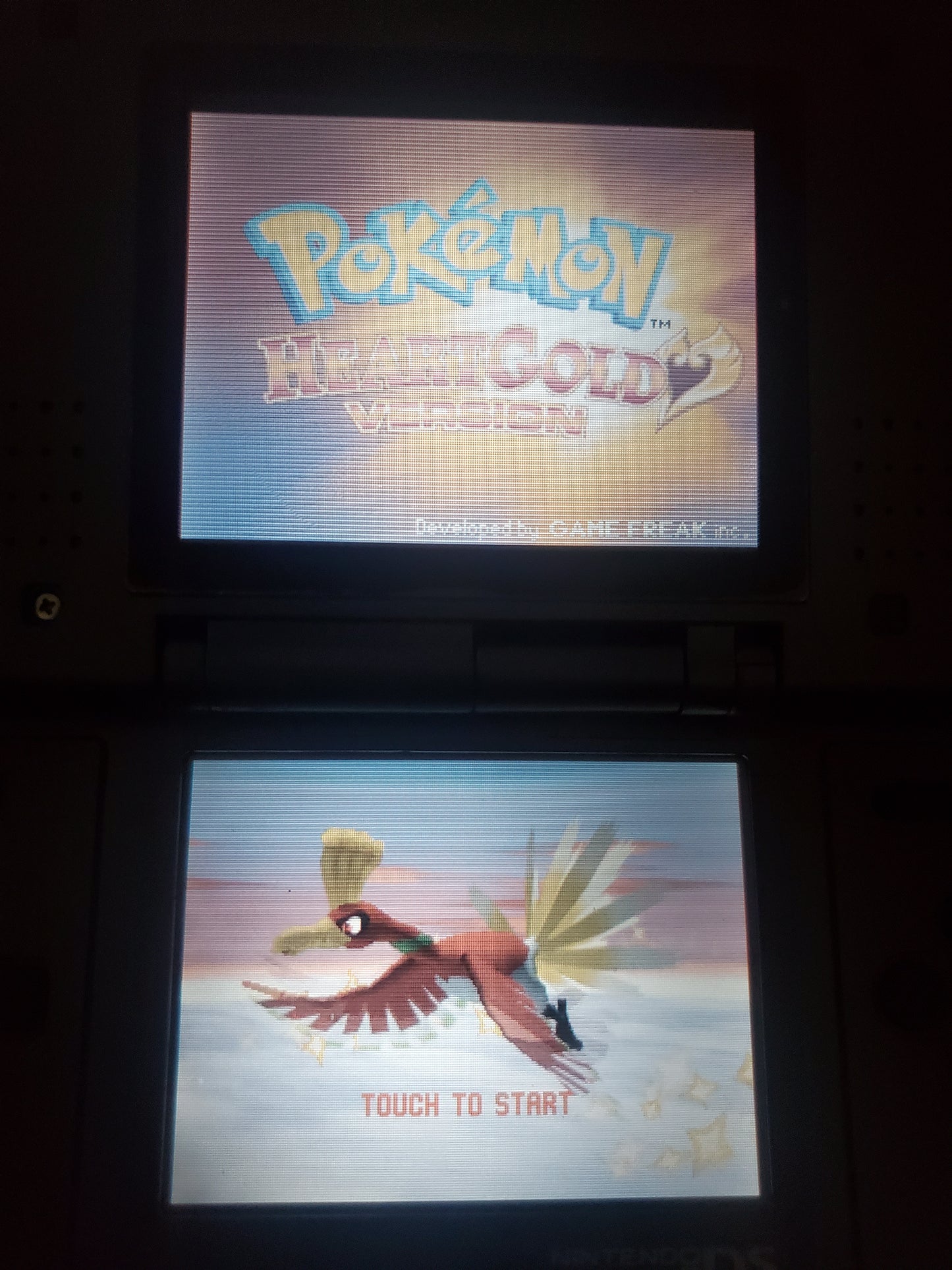 Pokemon HeartGold Video Game Nintendo DS