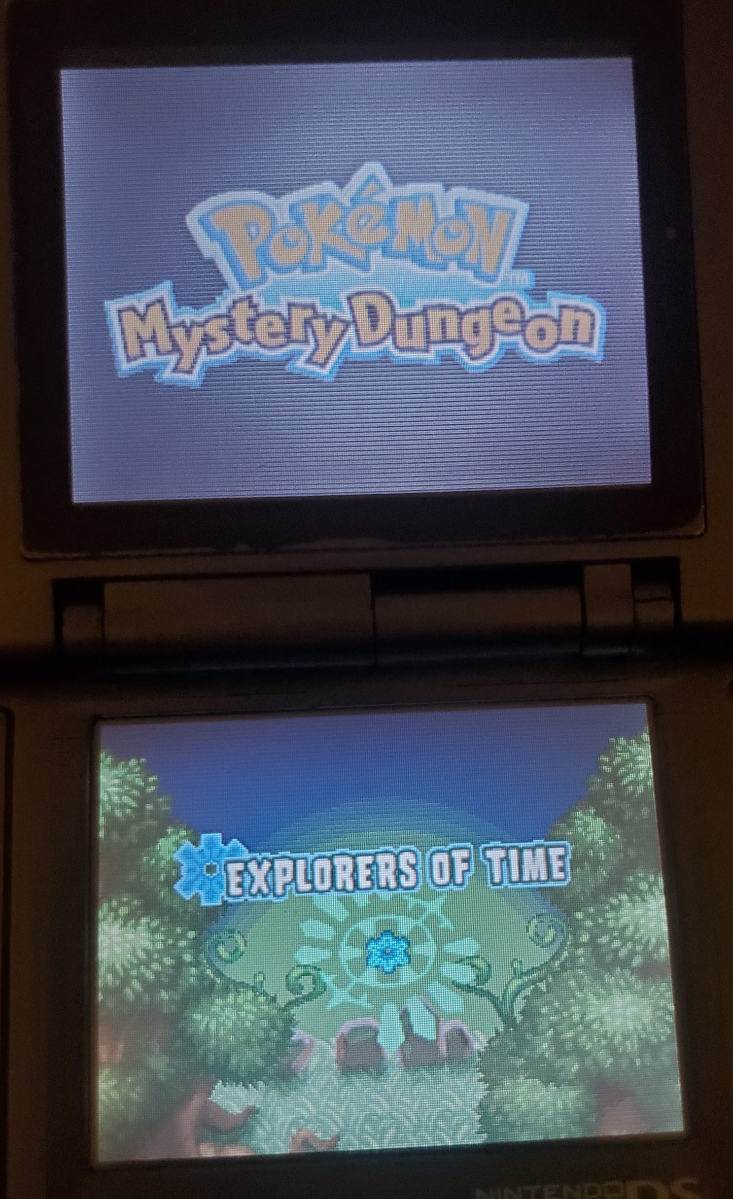 Pokemon Mystery Dungeon Explorers of Time Video Game Nintendo DS