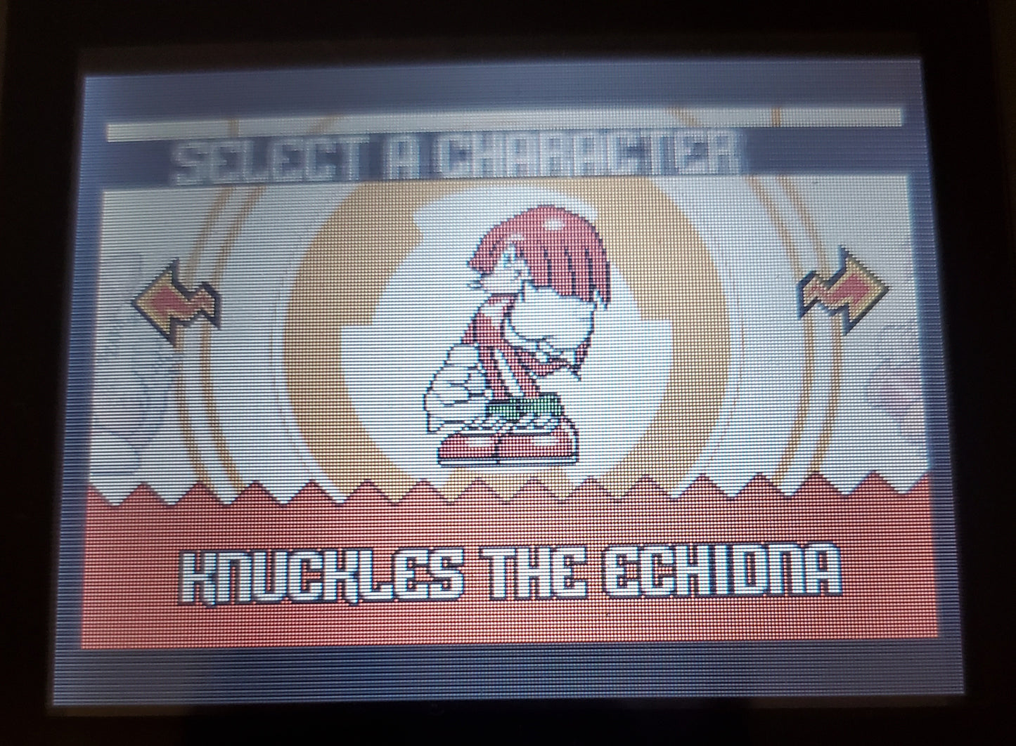 Sonic Advance 1 GBA Video Game Boy Advance