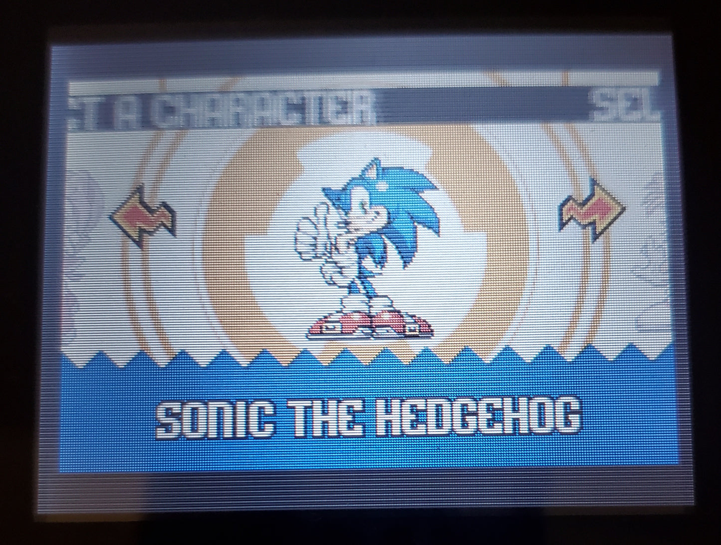 Sonic Advance 1 GBA Video Game Boy Advance