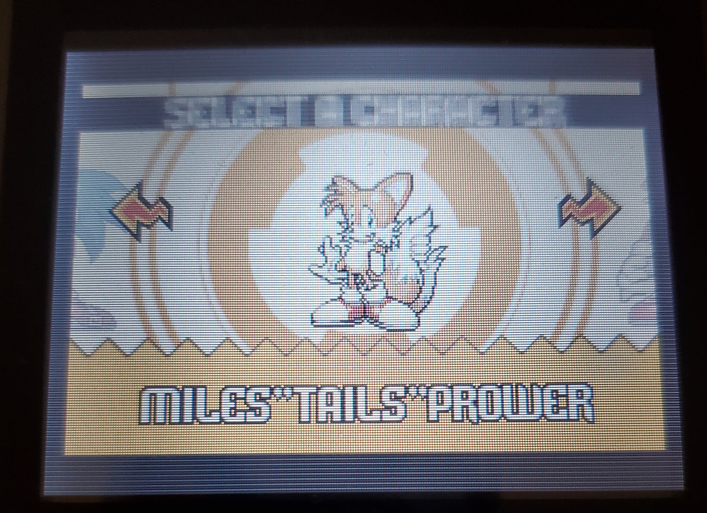 Sonic Advance 1 GBA Video Game Boy Advance