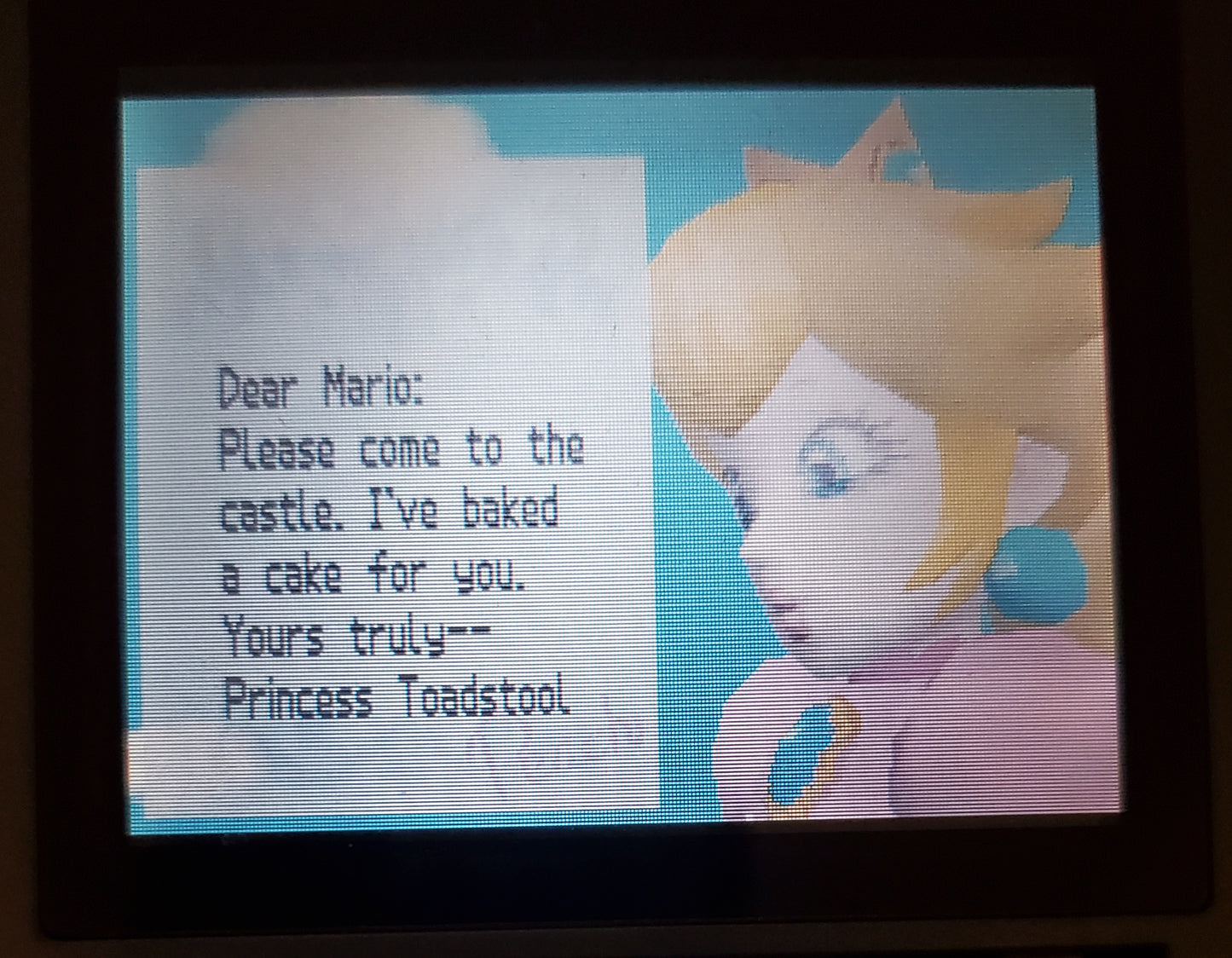 Super Mario DS Nintendo DS Video Game