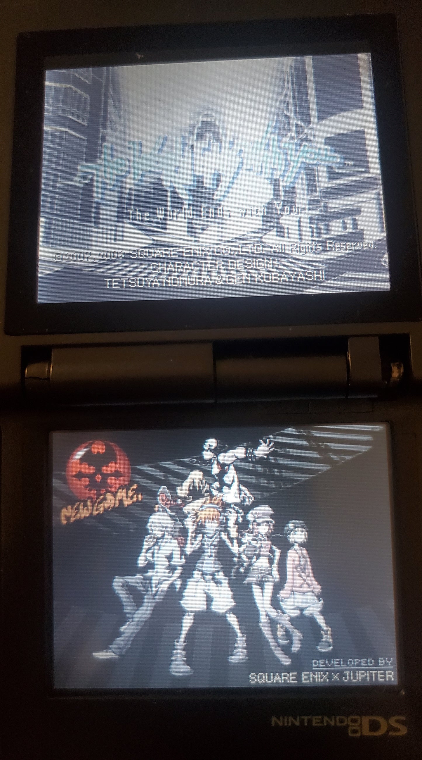 The World Ends With You Video Game Nintendo DS