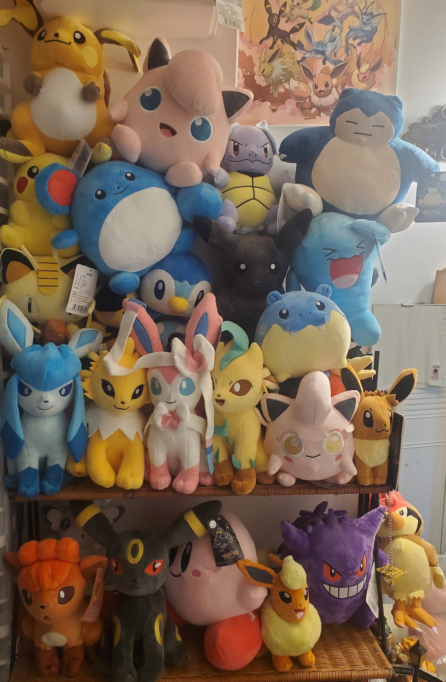 Pokemon Plushes