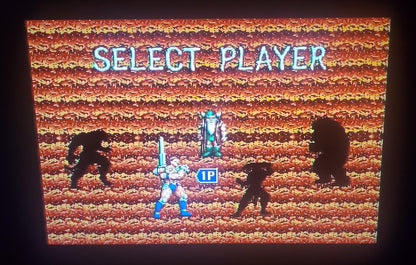 Golden Axe 3 Sega Genesis Mega Drive Video Game Cartridge 1993