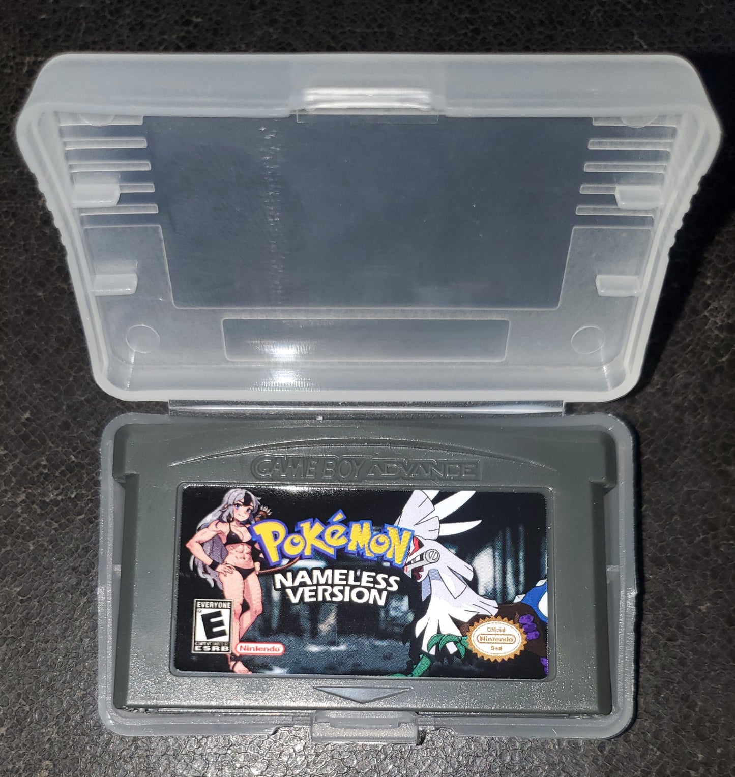 Pokemon Namless GBA Video Game Boy Advance Custom ROM Hack