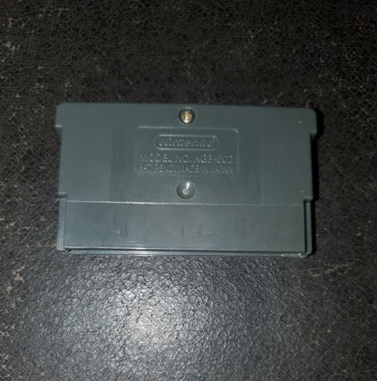 Pokemon Namless GBA Video Game Boy Advance Custom ROM Hack