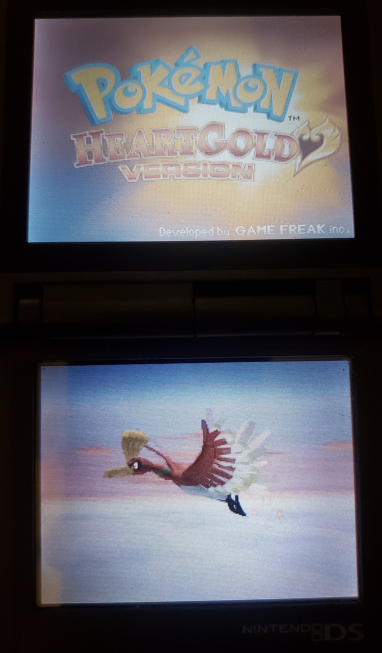 Pokemon Pure Heart Nintendo DS Custom ROM Hack Video Game Cartridge