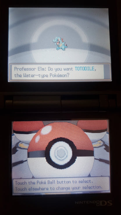 Pokemon True Soul Nintendo DS Custom ROM Hack Video Game Cartridge