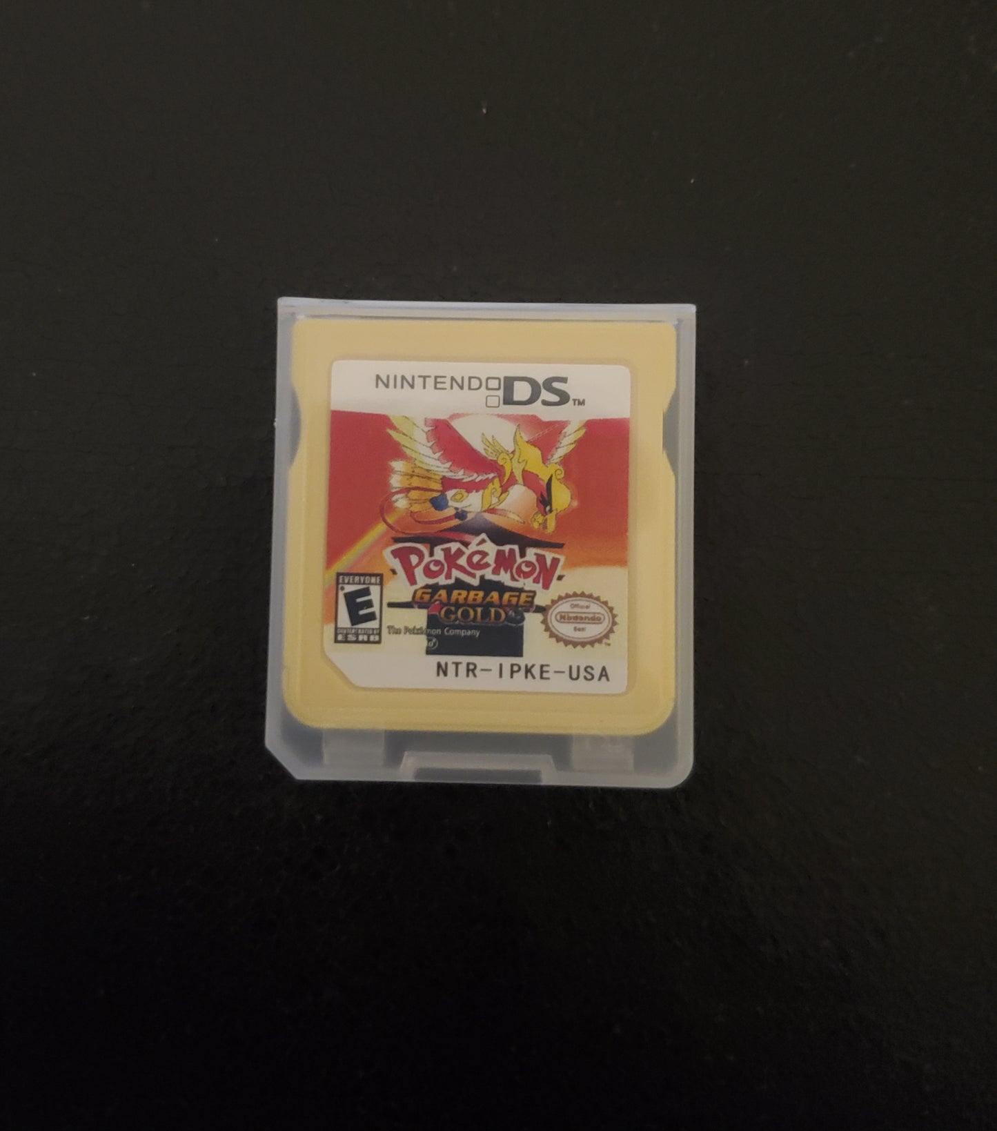 Pokemon GarbageGold Nintendo DS Custom ROM Hack Video Game Cartridge