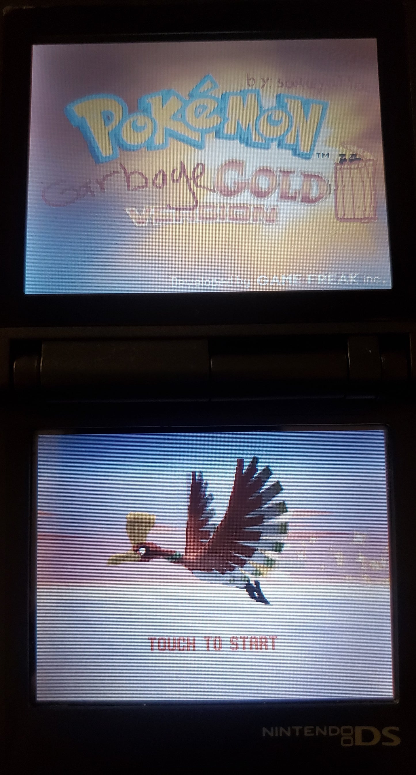 Pokemon GarbageGold Nintendo DS Custom ROM Hack Video Game Cartridge