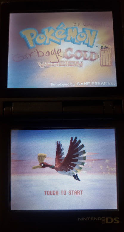 Pokemon GarbageGold Nintendo DS Custom ROM Hack Video Game Cartridge