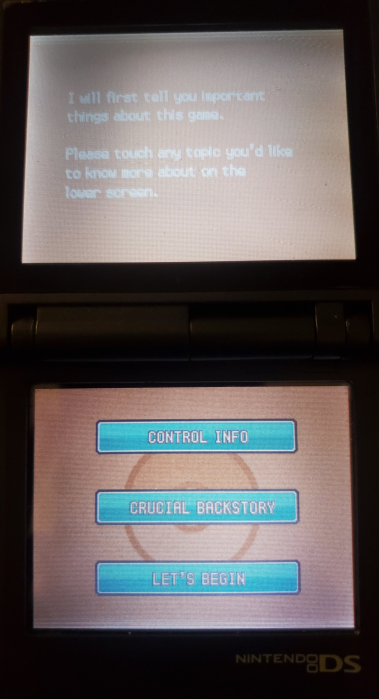 Pokemon GarbageGold Nintendo DS Custom ROM Hack Video Game Cartridge