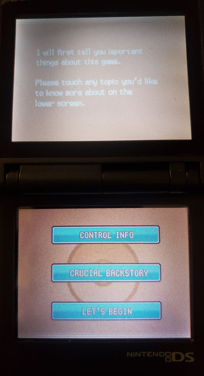 Pokemon GarbageGold Nintendo DS Custom ROM Hack Video Game Cartridge