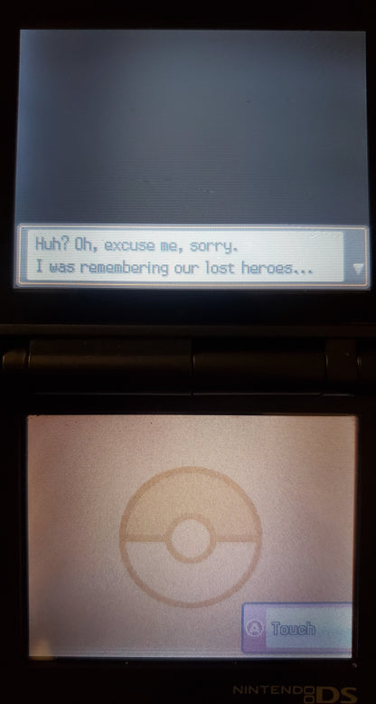 Pokemon GarbageGold Nintendo DS Custom ROM Hack Video Game Cartridge