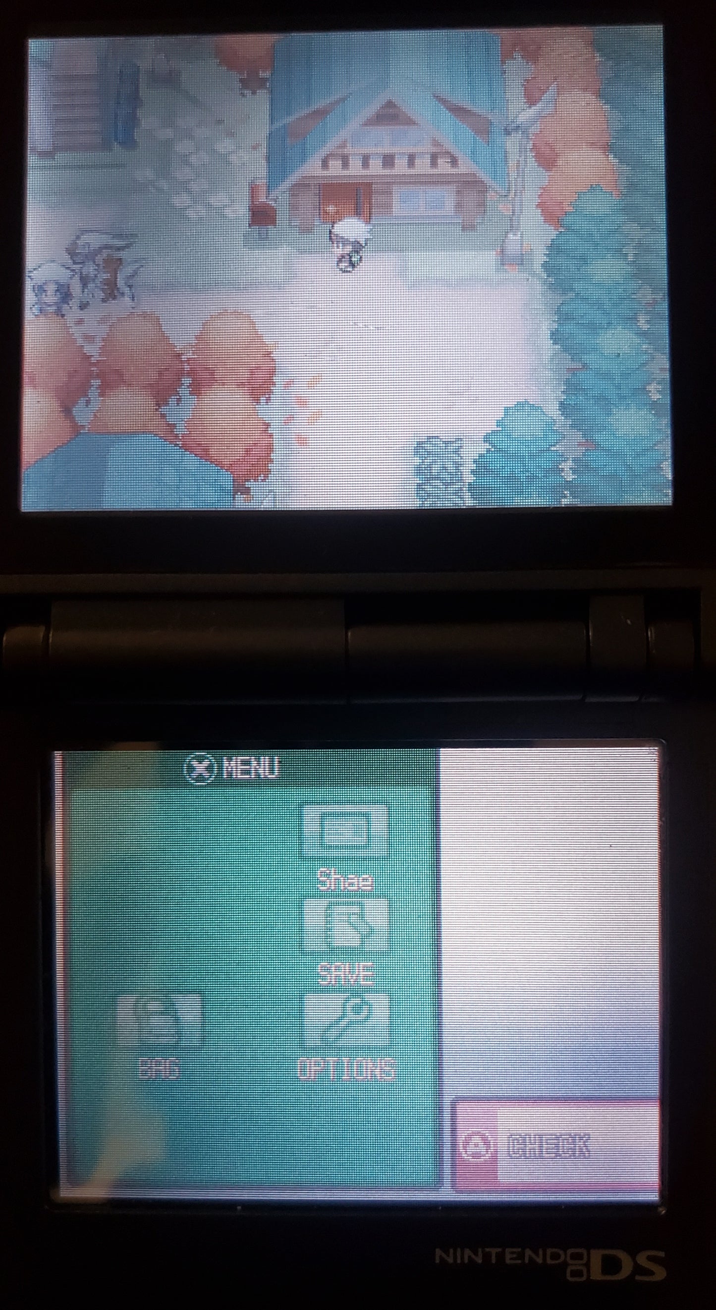 Pokemon GarbageGold Nintendo DS Custom ROM Hack Video Game Cartridge