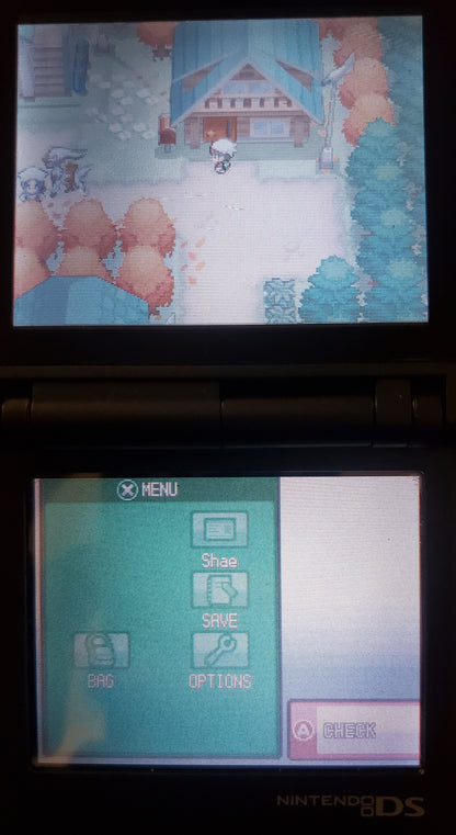 Pokemon GarbageGold Nintendo DS Custom ROM Hack Video Game Cartridge