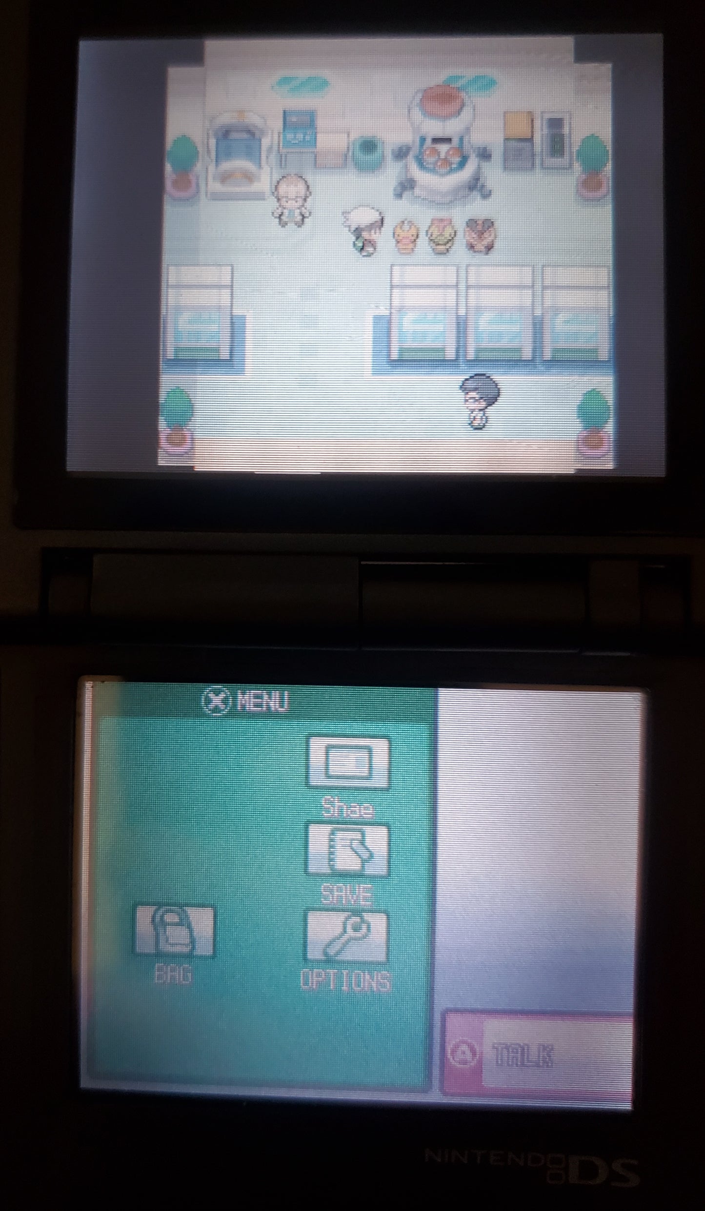 Pokemon GarbageGold Nintendo DS Custom ROM Hack Video Game Cartridge