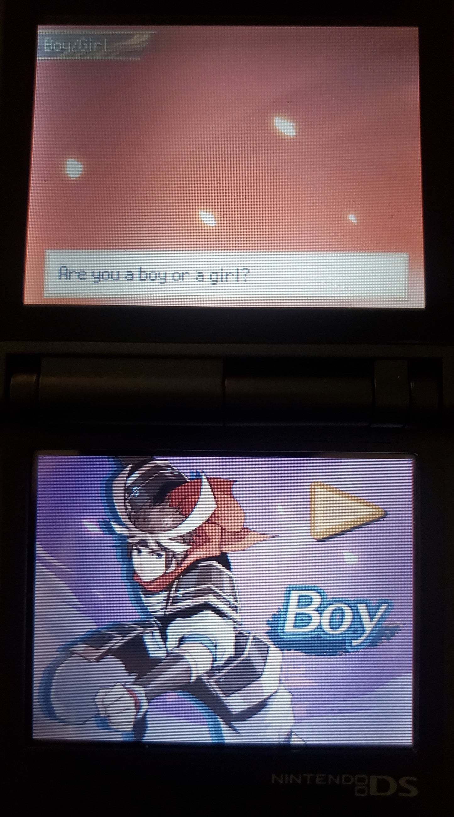 Pokemon Conquest Twin Dragons Nintendo DS Custom ROM Hack Video Game